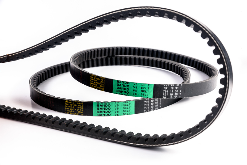 VS-BELT-(4)