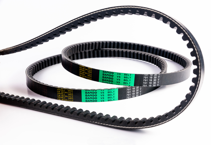 VS-BELT-(5)